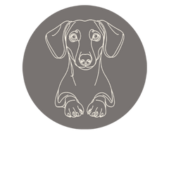 Dachshund Line Art