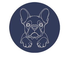 French Bulldog Line Art