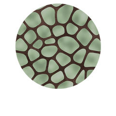 Mossy Mosaic