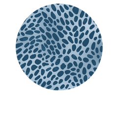 Poppy Blue