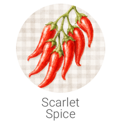 Scarlet Spice