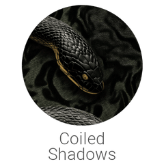 Coiled Shadows