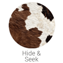 Hide & Seek