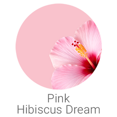 Pink Hibiscus Dream