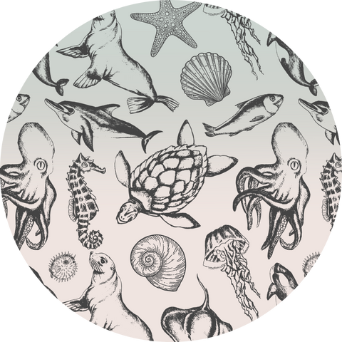 Sealife